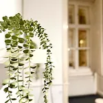 Basilica Panorama Grand 3br 10 Guests Apartament